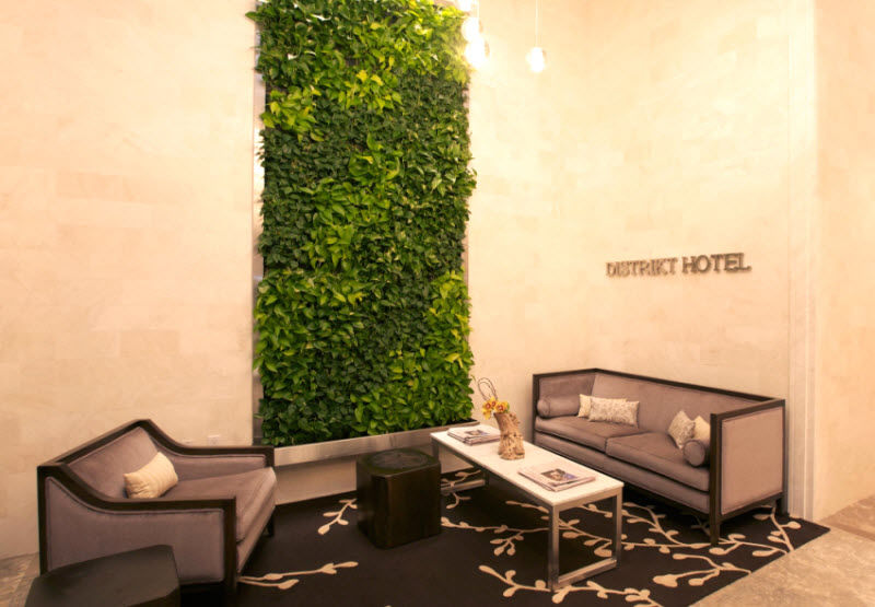 Distrikt City, Tapestry Collection By Hilton Nueva York